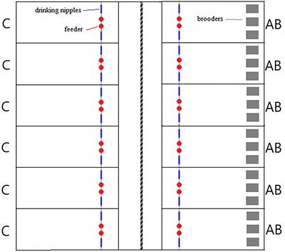 Resting behavior of broilers reared with or without artificial brooders